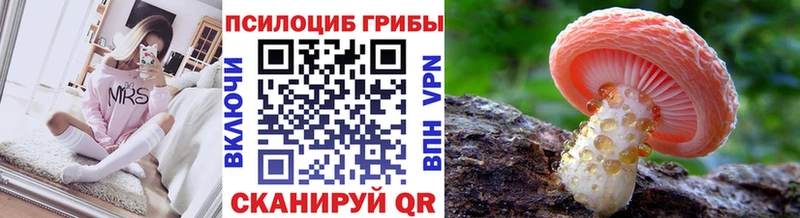 Галлюциногенные грибы мицелий где продают Тайшет